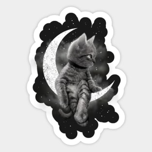 DREAM CAT 2017 Sticker